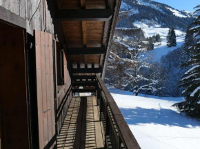 Appartement typique 75m², 2 chambres, balcon, face au télésiège, parking, proche front de neige. - FR-1-595-92